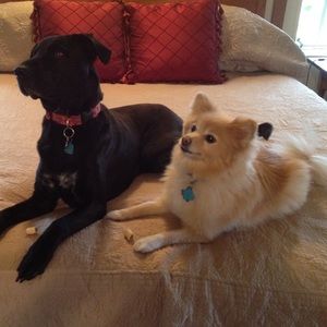 Meet your Posher, Cheryl